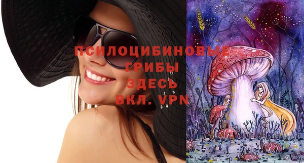 таблы Надым