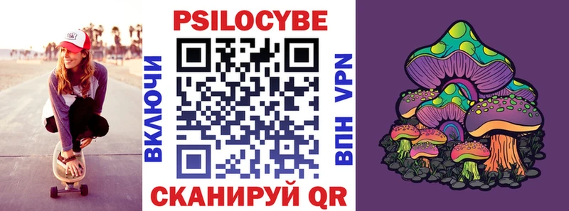 где можно купить   Новомичуринск  Псилоцибиновые грибы ЛСД 